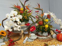 -重庆市江北嘴中央商务区中央公园