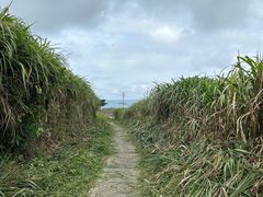 -东极岛景区-青浜岛