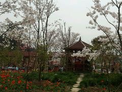 -绵阳盛世樱花悠乐谷