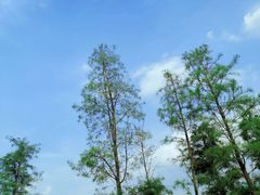 -东莞植物园