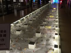 -青岛贝壳博物馆