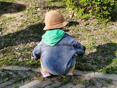 -蒲河岛湿地公园