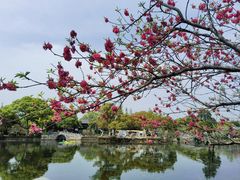 -无锡蠡湖国家湿地公园-蠡园