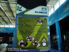 -沈阳森林动物园