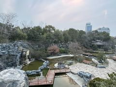 -上海吴淞炮台湾国家湿地公园