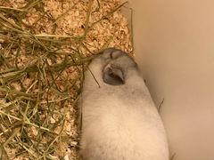 -龙猫仔乐园(惠福东路店)