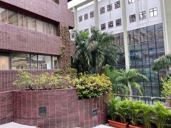 -香港大学
