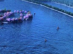 -杭州浪浪浪水公园
