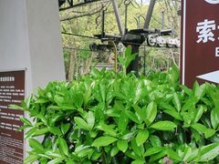 -WeLope紫金山探险公园