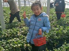 -烟台东联一汽丰田4S店(福山区店)