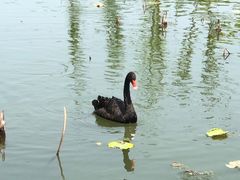 -昆山城市生态森林公园