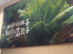 -杨厨的田园饭店(长城路店)