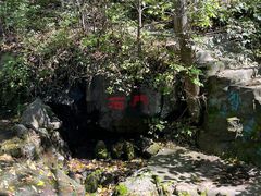 -天女山森林公园