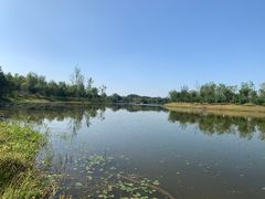 -东郊湿地公园