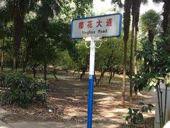 -武汉大学-樱园