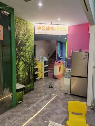 -神奇动物撸宠馆·羊驼·小浣熊·异宠(豫园店)