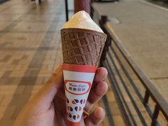 -富豪雪糕车流动点(尖沙咀店)