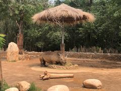 -北京野生动物园