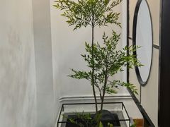 -忆秦园小笼包(惠山古镇总店)