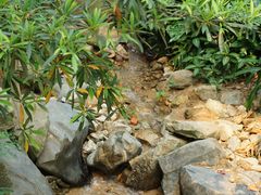 -火炉山森林公园