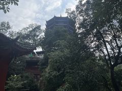 -青城山