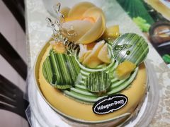 -哈根达斯(石家庄北国店)