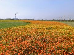 -映月湖中央公园