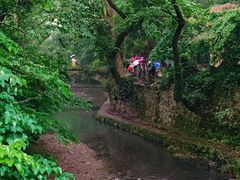 -天台山景区