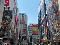 -秋叶原电器街