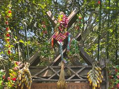 -西双版纳原始森林公园