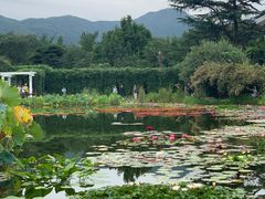 -国家植物园南园