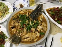 -煲来饱去冷水鱼