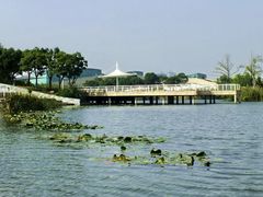 -新江湾城公园
