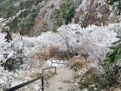 -金子山原生态旅游风景区