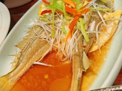 -前海沿·青岛菜(五四广场永旺店)