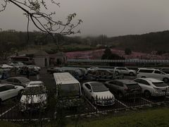 -棒棰岛宾馆景区