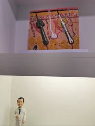 -ZELL·泽尔医疗美容