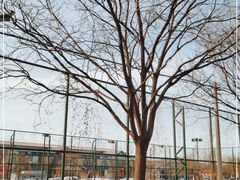 -北京鹿世界主题园