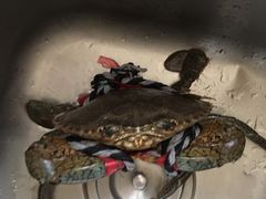 -江杨农产品批发市场