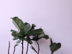 -UNI UNI(环亚凯瑟琳店)