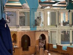 -猫小院猫主题咖啡厅(北锣店)