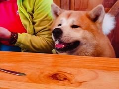 -the rug 飞毯 (朝阳公园店)