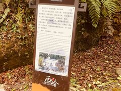 -西岭雪山大飞水景区