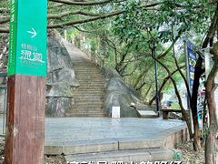 -深圳仙湖植物园