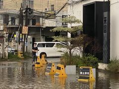 -来回·咖啡(钟村咖啡豆店)