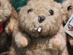 -西宁曹家堡国际机场-T2航站楼