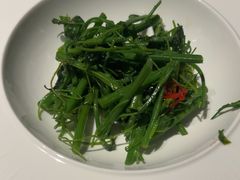 -觀芷隐轩