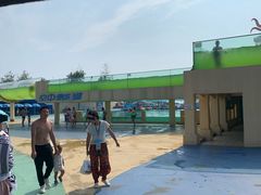 -秦皇岛乐岛海洋王国