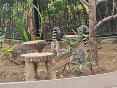 -南和农业嘉年华