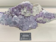 -中国地质博物馆
